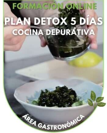 FORMACIÓN PLAN DETOX