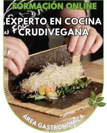 Curso online: Experto en cocina crudivegana