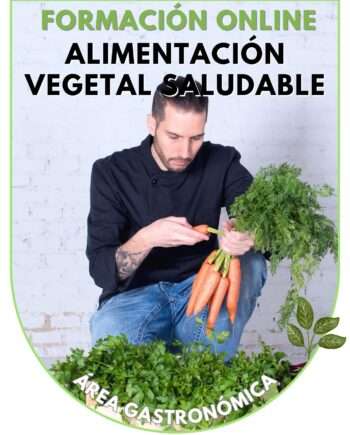 Curso nutrición saludable vegetal