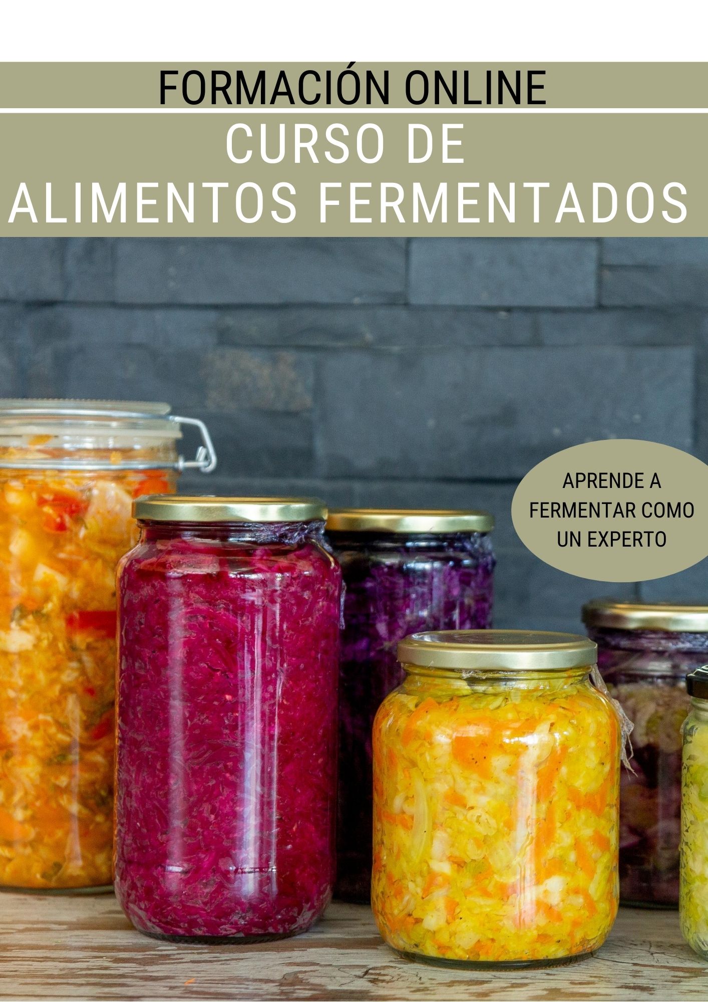 Curso Alimentos Fermentados | Luis Garcia Vegan Food