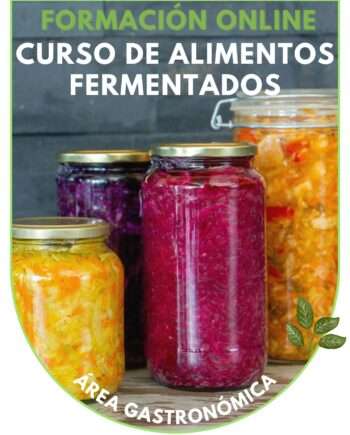 Curso de alimentos fermentados