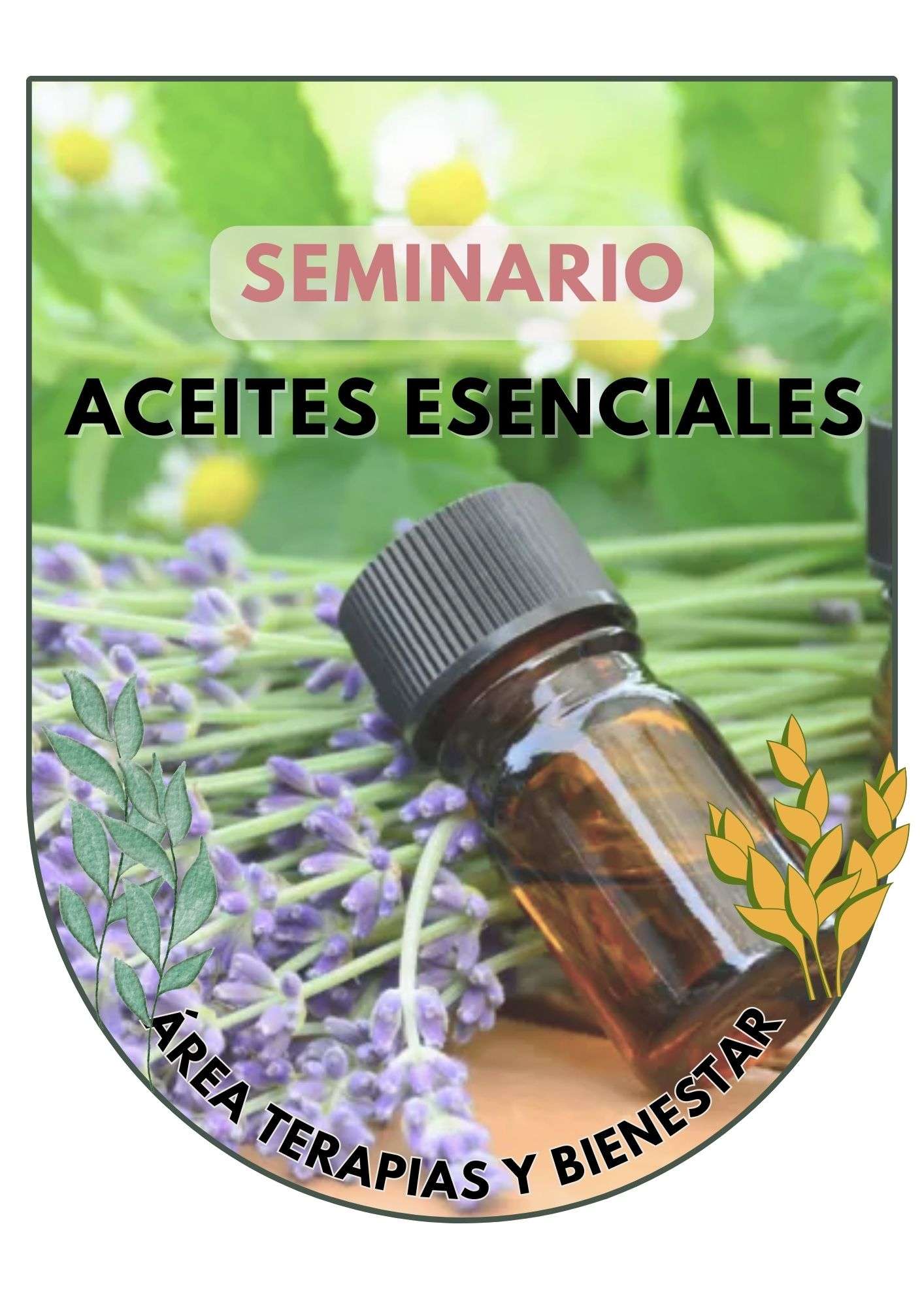 CLASE ACEITES ESENCIALES